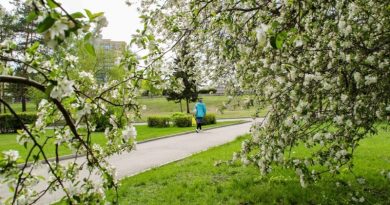 Май в аромаклубе «Легкое дыхание»