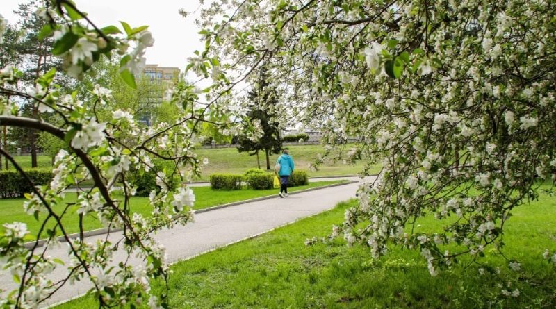 Май в аромаклубе «Легкое дыхание»